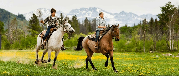 Confident plus-size woman riding Hackney a horse through a field with a smile on her face.